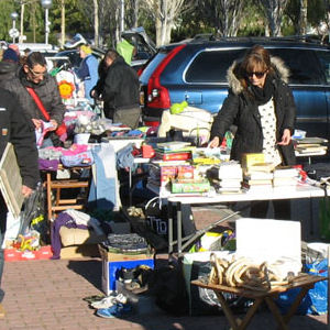 freesia events carboot april 2017