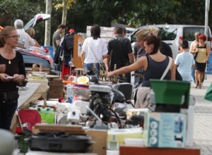 mercadillo de freesia febrero 2017