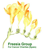 freesia events logo