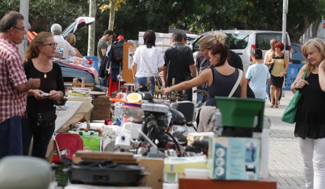 mercadillo de freesia noviembre 2018