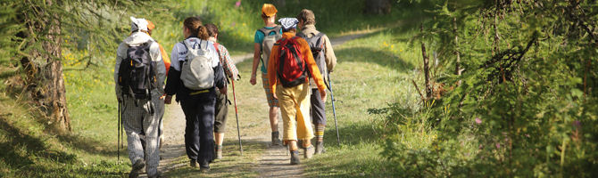 Caminata Patrocinada Freesia