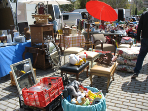 freesia carboot sale april 2023