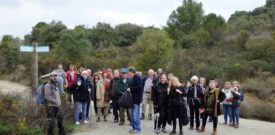 Freesia Annual Sponsored Walk Participants