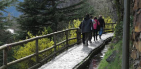 15th Annual Sponsored Walk
