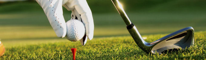 Dippydora Golf Header