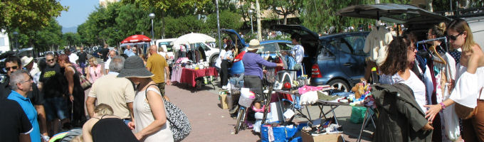 Freesia Events Carboot September