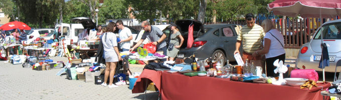 Freesia Carboot September 2019