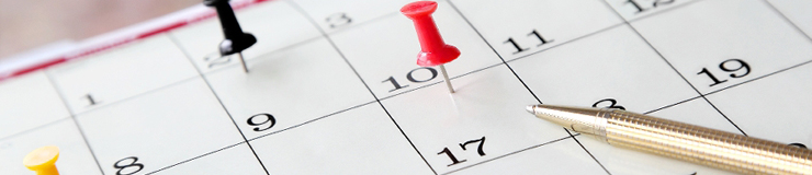 freesia events calendar