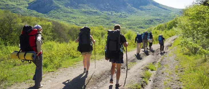 Freesia Group Hikers