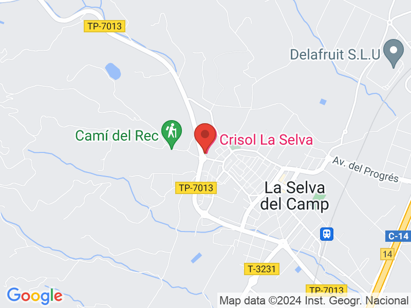 Map of Hotel Sercotel La Selva